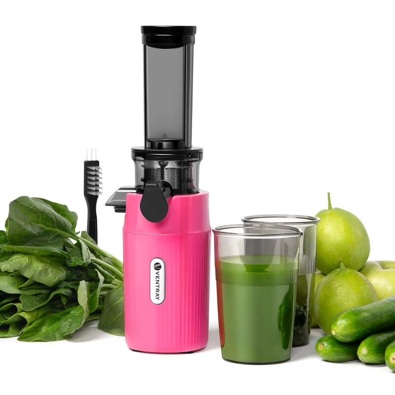 Ventray Essential Ginnie Juicer Compact Small Cold Press Masticating Slow Juicer Pink - Image 8
